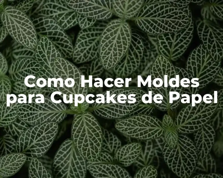 Como Hacer Moldes para Cupcakes de Papel