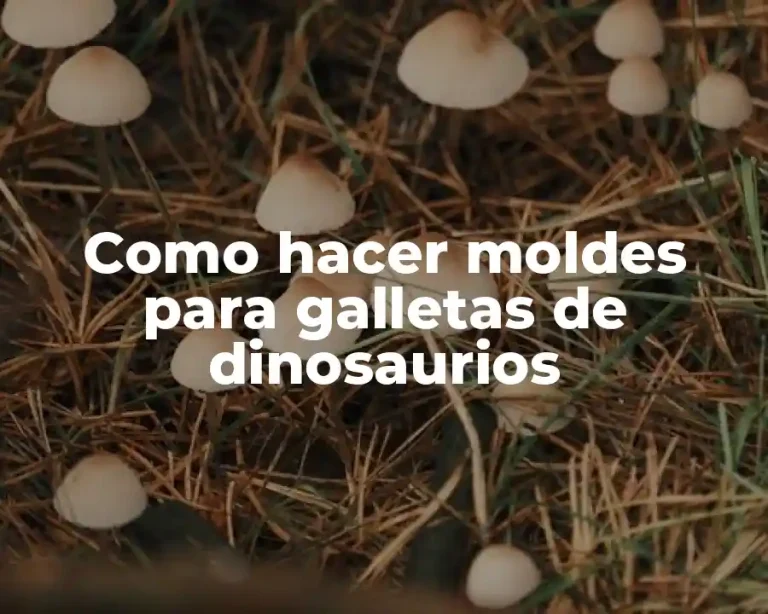Como hacer moldes para galletas de dinosaurios