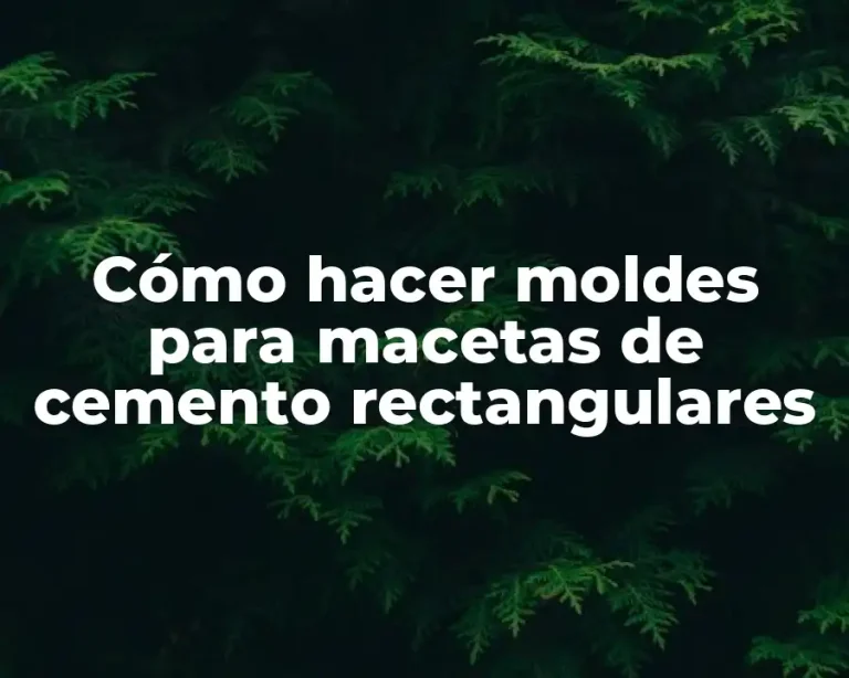 Cómo hacer moldes para macetas de cemento rectangulares