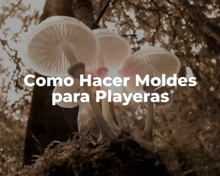 Como Hacer Moldes para Playeras