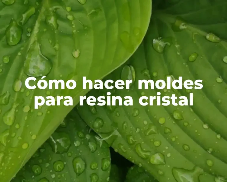 Cómo hacer moldes para resina cristal