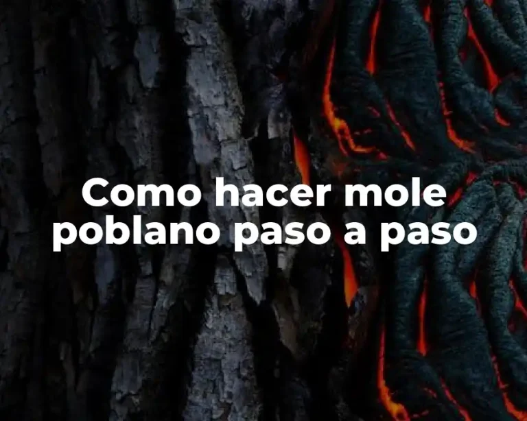 Como hacer mole poblano paso a paso