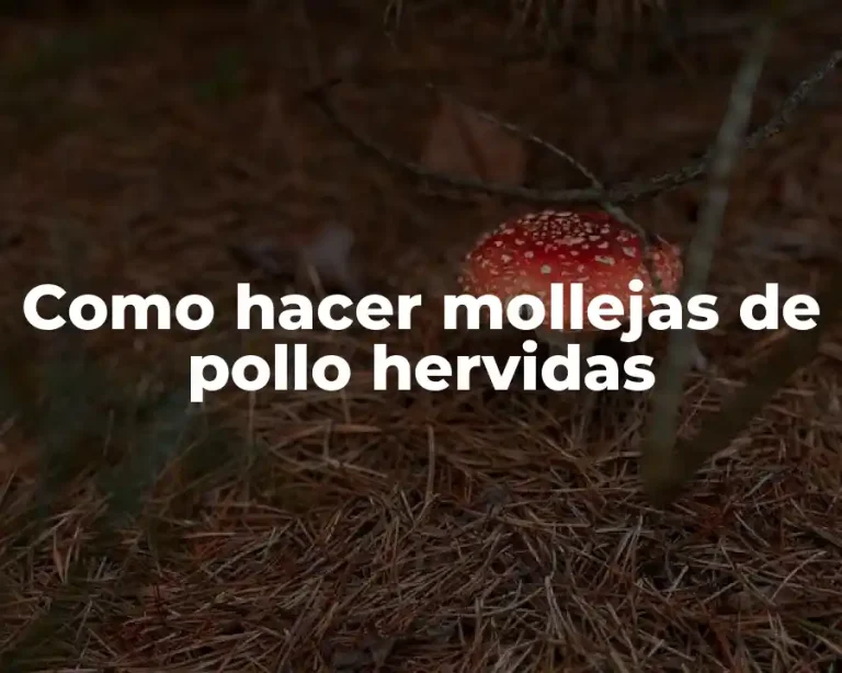 Como hacer mollejas de pollo hervidas