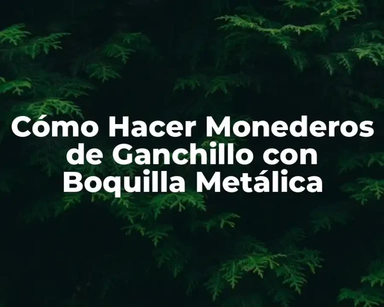 Cómo Hacer Monederos de Ganchillo con Boquilla Metálica