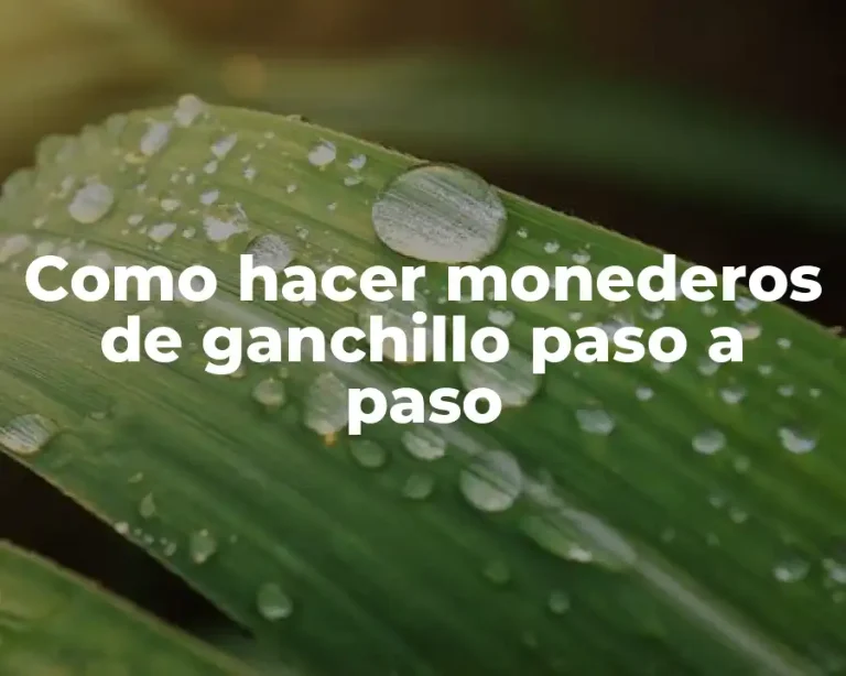 Como hacer monederos de ganchillo paso a paso