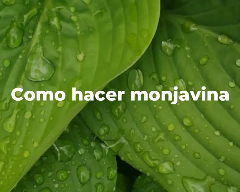 Como hacer monjavina