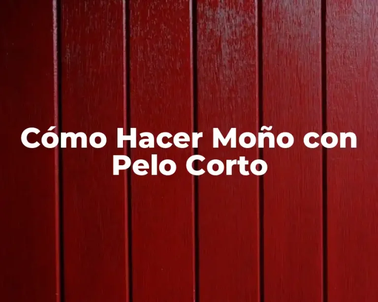 Cómo Hacer Moño con Pelo Corto