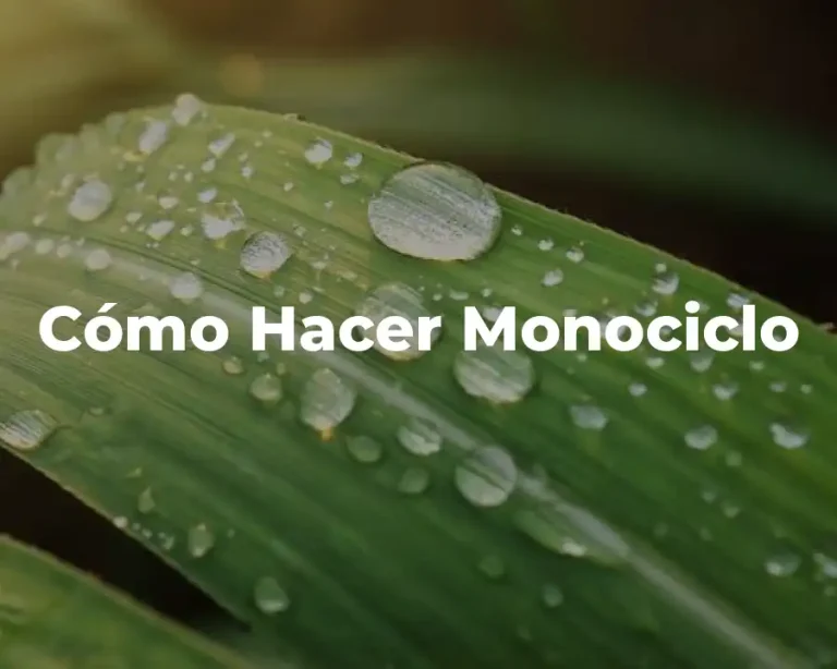 Cómo Hacer Monociclo