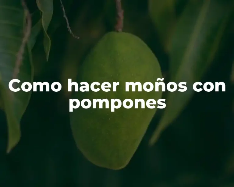Como hacer moños con pompones