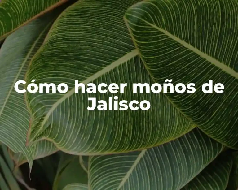 Cómo hacer moños de Jalisco
