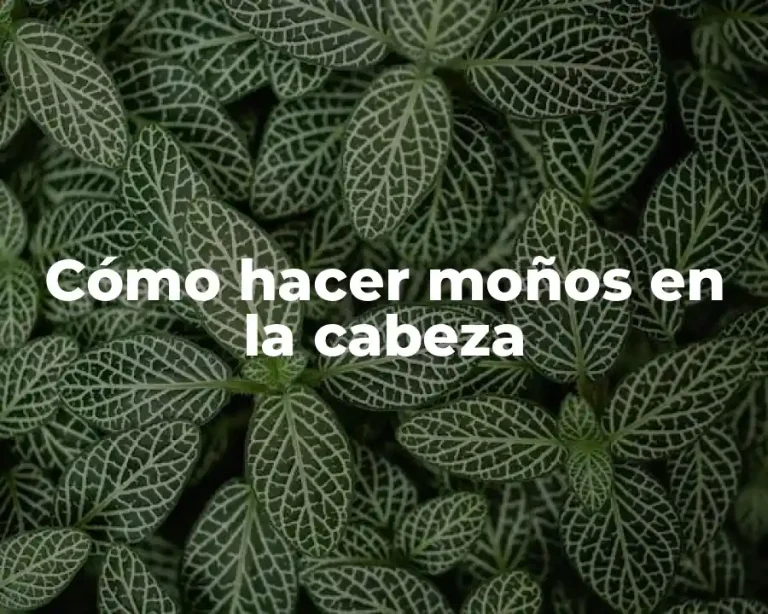 Cómo hacer moños en la cabeza