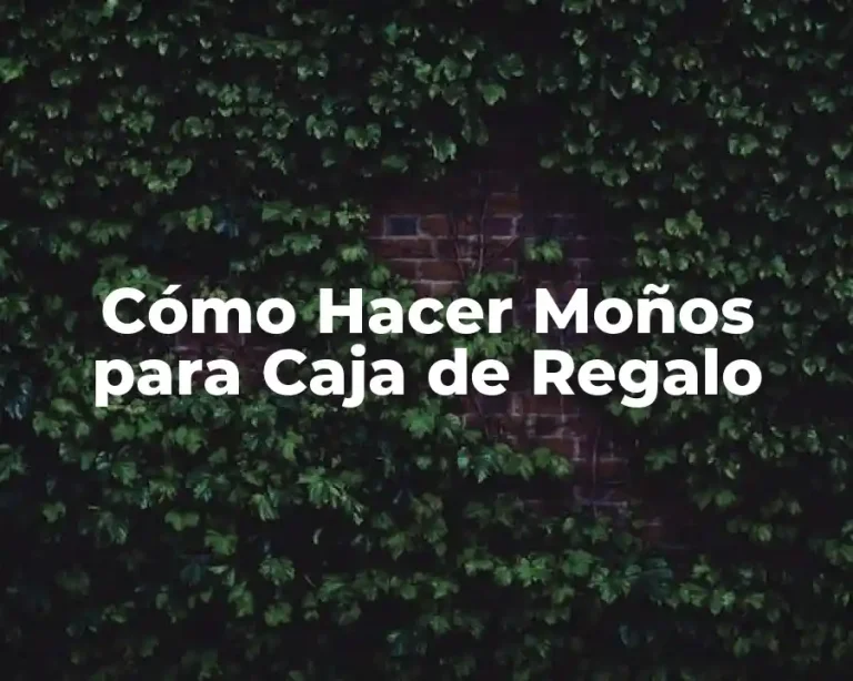 Cómo Hacer Moños para Caja de Regalo