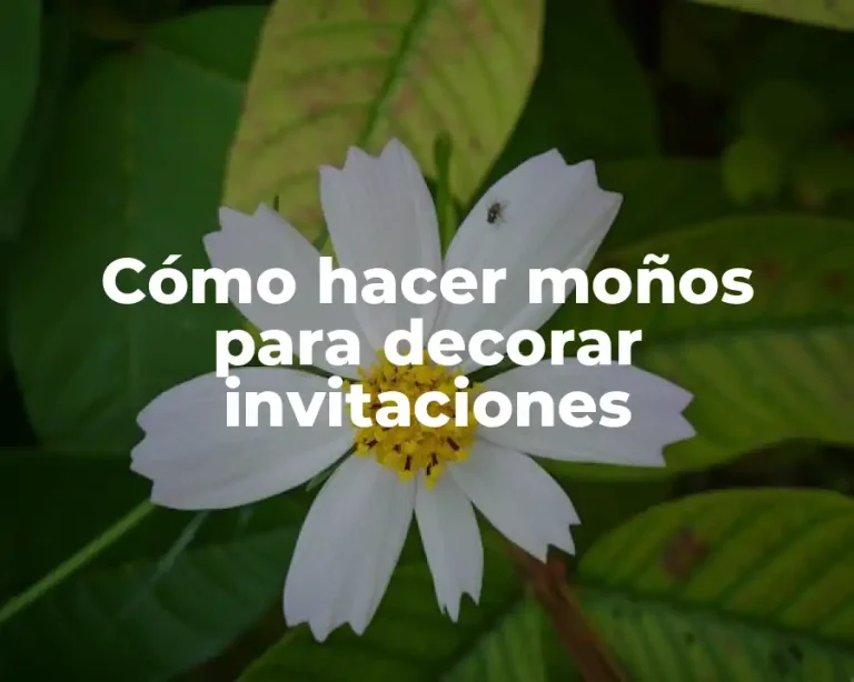 Cómo hacer moños para decorar invitaciones
