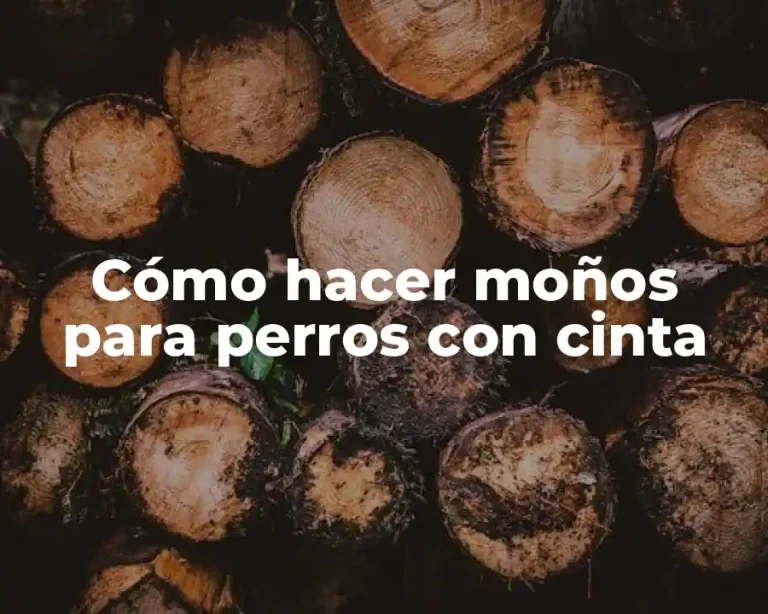 Cómo hacer moños para perros con cinta