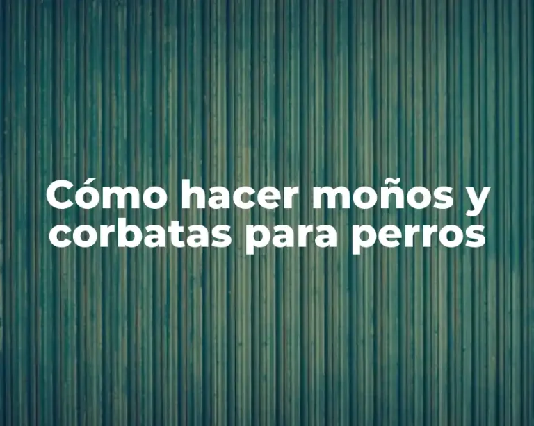 Cómo hacer moños y corbatas para perros