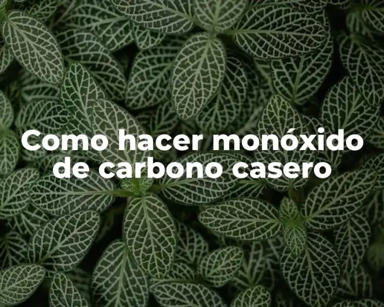 Como hacer monóxido de carbono casero