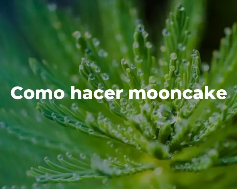 Como hacer mooncake