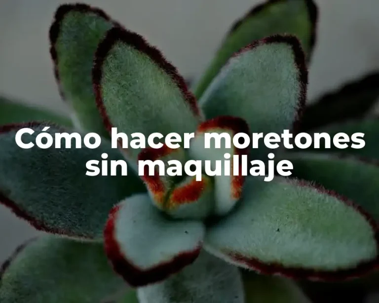 Cómo hacer moretones sin maquillaje