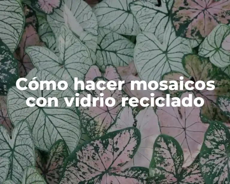 Cómo hacer mosaicos con vidrio reciclado
