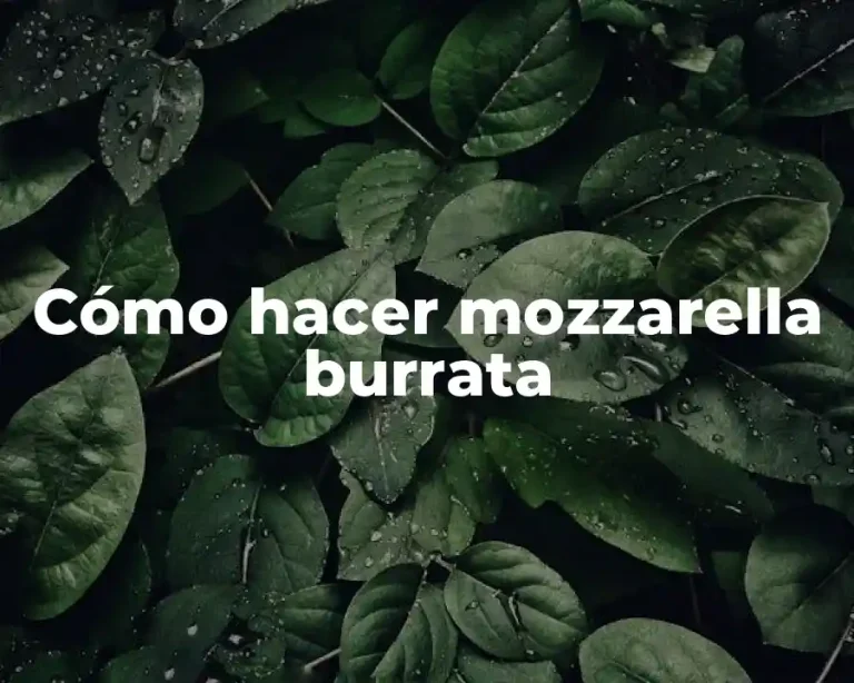 Cómo hacer mozzarella burrata