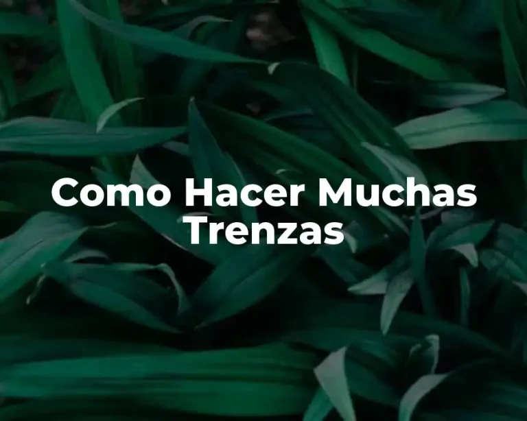 Como Hacer Muchas Trenzas
