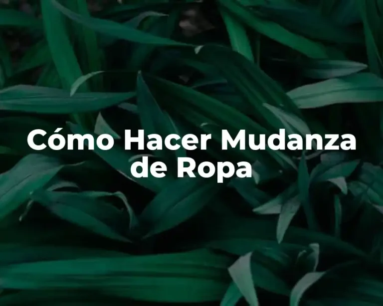 Cómo Hacer Mudanza de Ropa