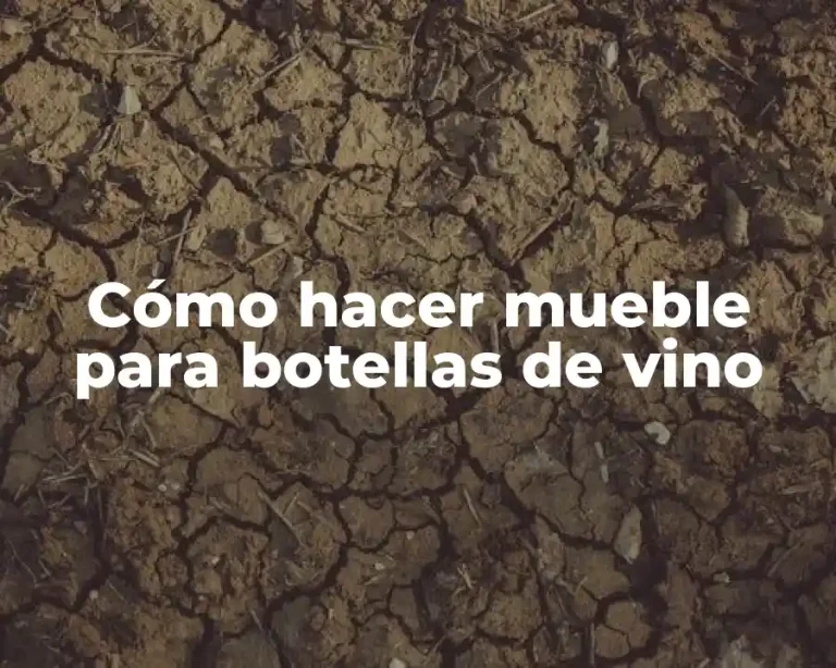 Cómo hacer mueble para botellas de vino