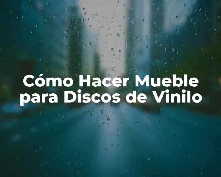 Cómo Hacer Mueble para Discos de Vinilo