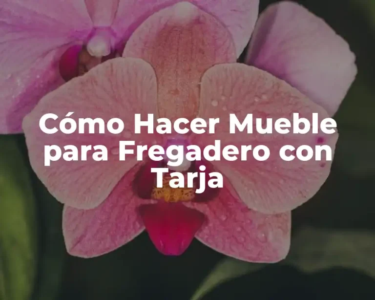 Cómo Hacer Mueble para Fregadero con Tarja