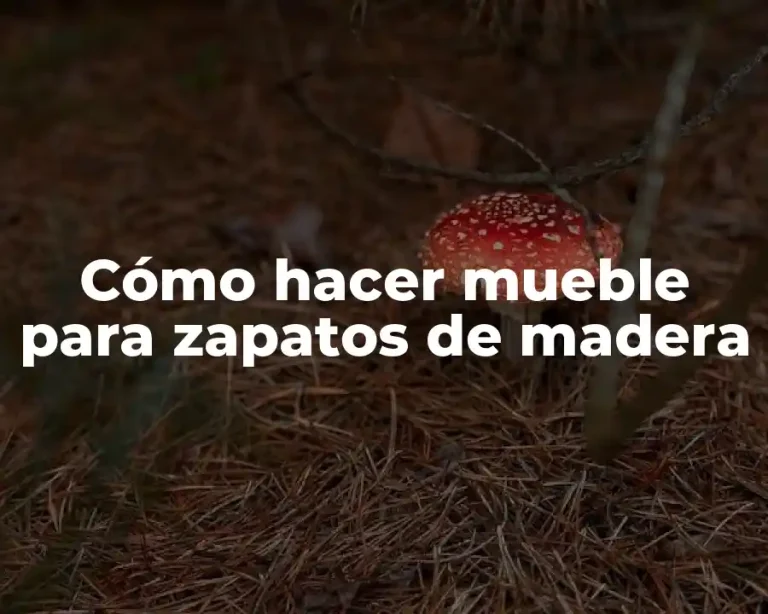Cómo hacer mueble para zapatos de madera