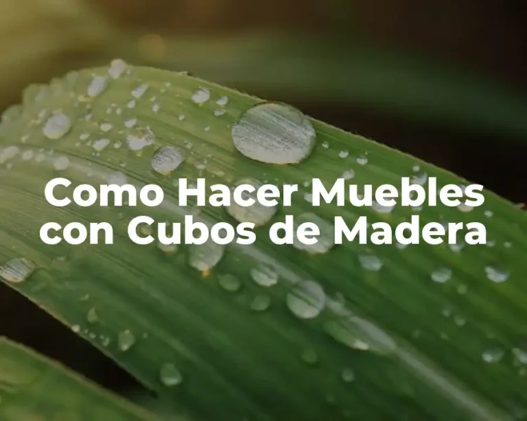 Como Hacer Muebles con Cubos de Madera