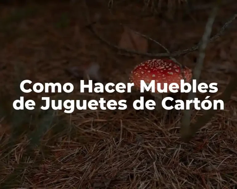 Como Hacer Muebles de Juguetes de Cartón