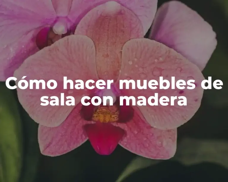 Cómo hacer muebles de sala con madera