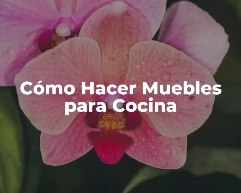 Cómo Hacer Muebles para Cocina