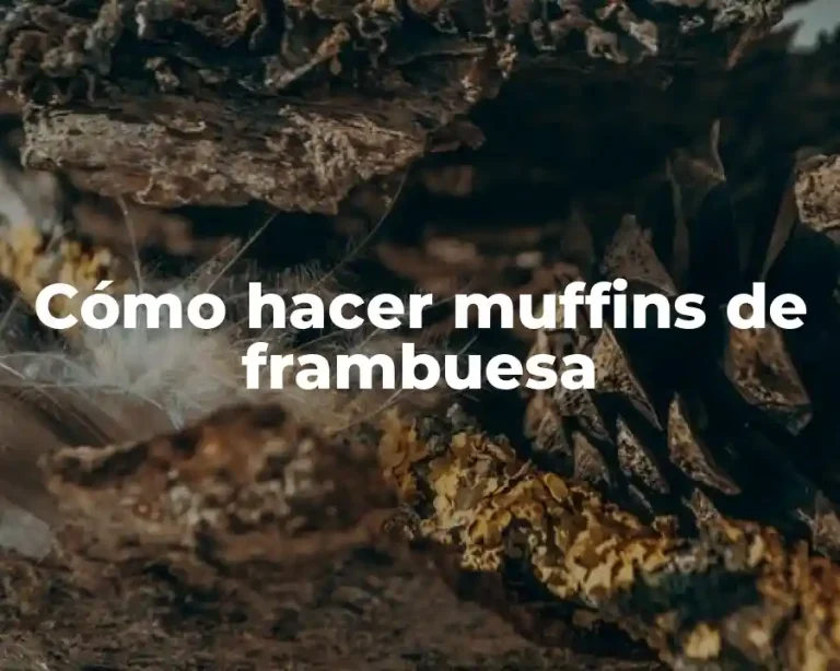 Cómo hacer muffins de frambuesa