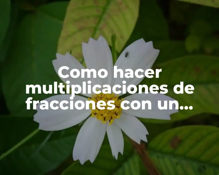 Como hacer multiplicaciones de fracciones con un entero