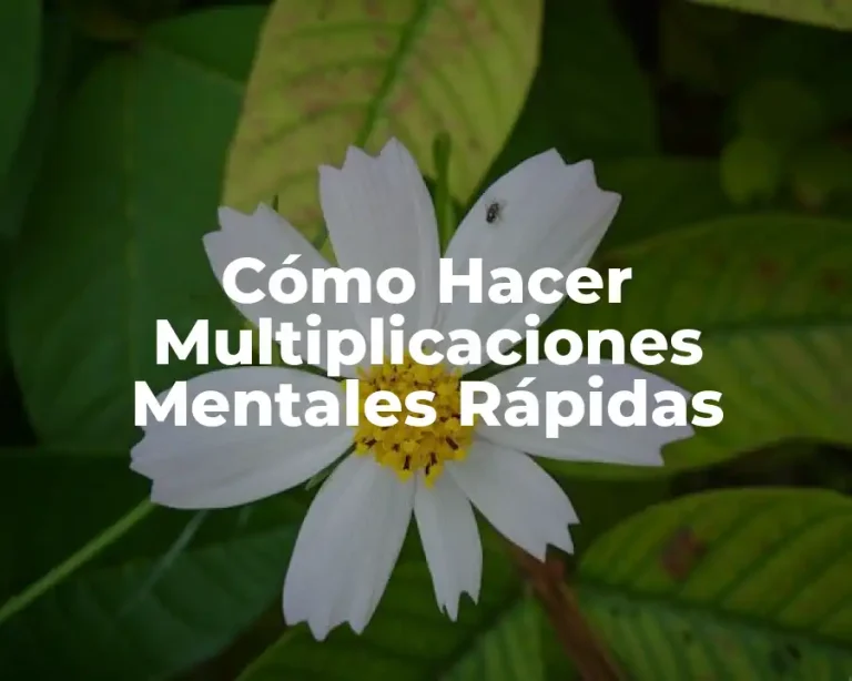 Cómo Hacer Multiplicaciones Mentales Rápidas