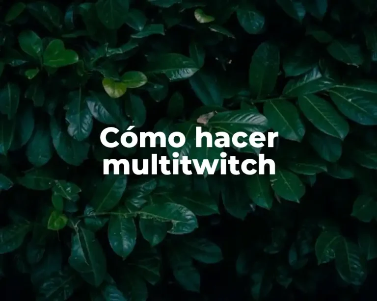 Cómo hacer multitwitch