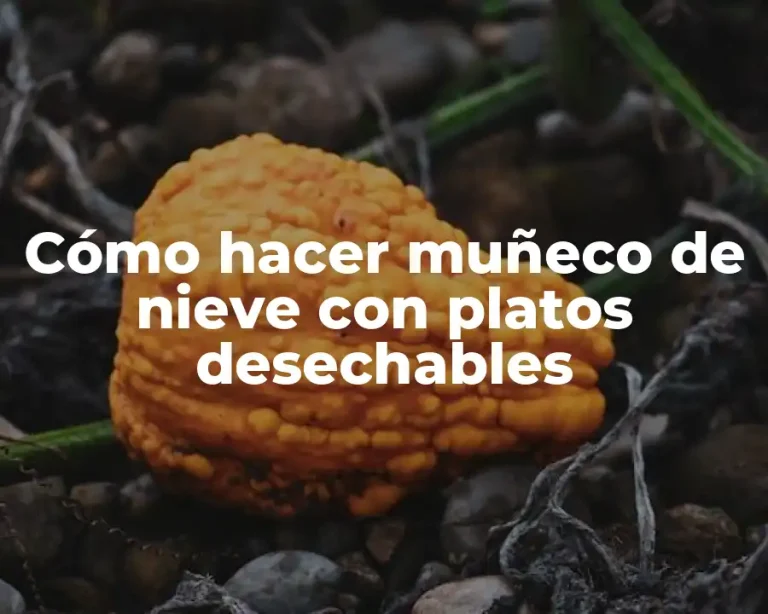 Cómo hacer muñeco de nieve con platos desechables