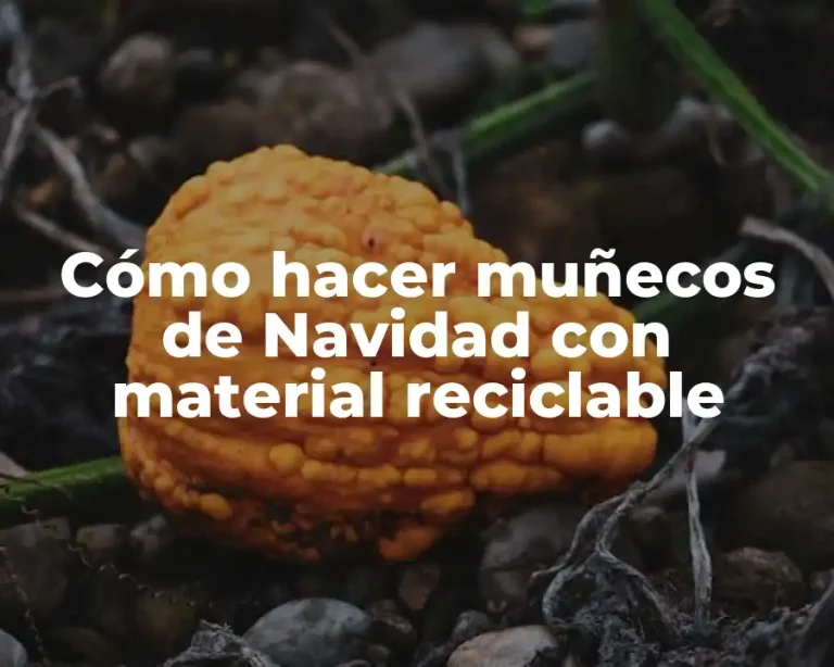 Cómo hacer muñecos de Navidad con material reciclable