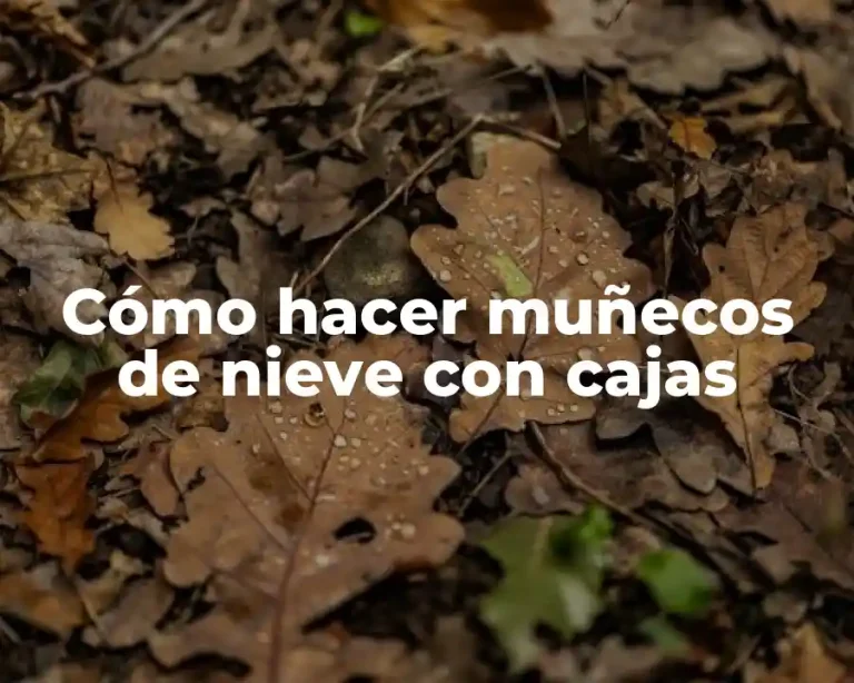 Cómo hacer muñecos de nieve con cajas