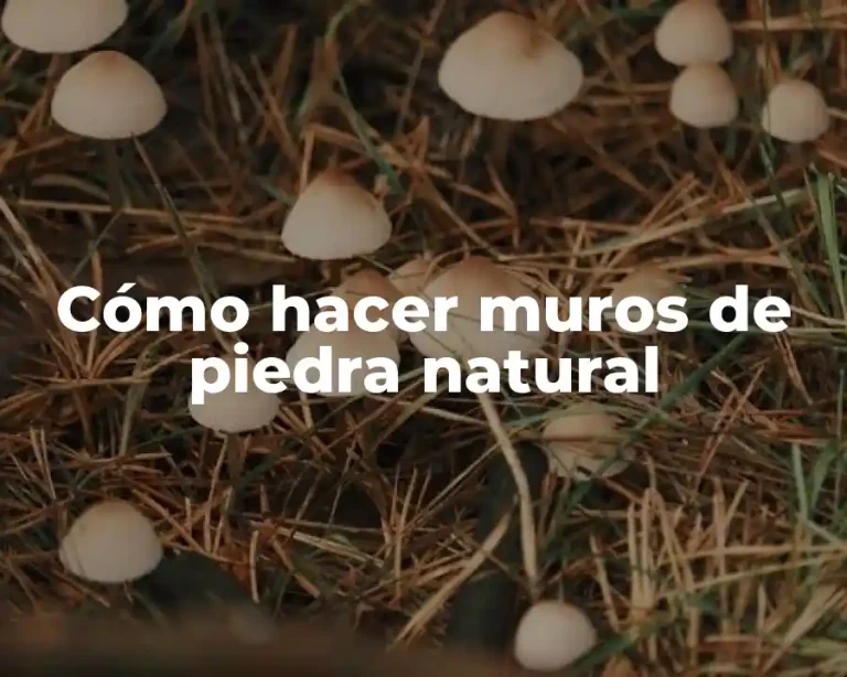 Cómo hacer muros de piedra natural