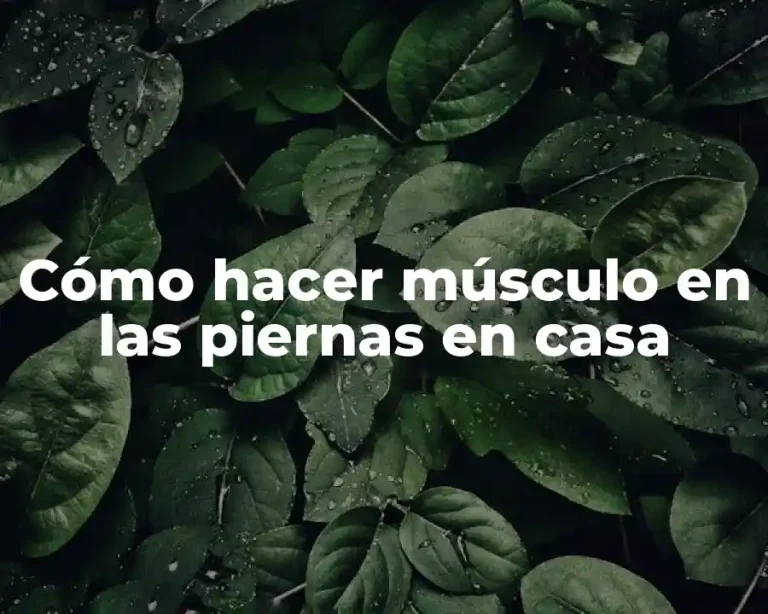 Cómo hacer músculo en las piernas en casa