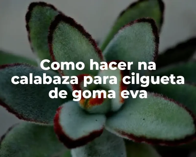 Como hacer na calabaza para cilgueta de goma eva