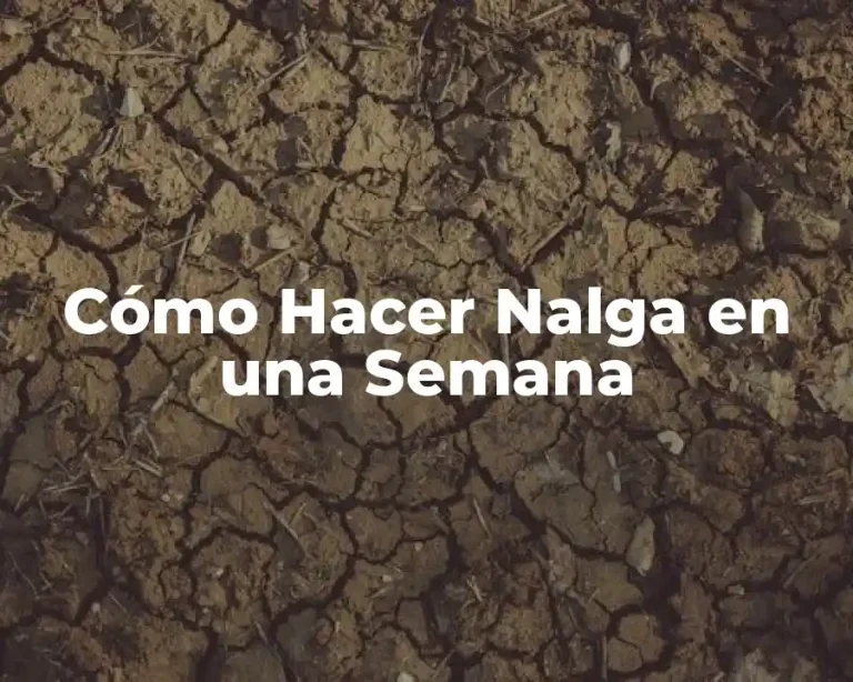 Cómo Hacer Nalga en una Semana