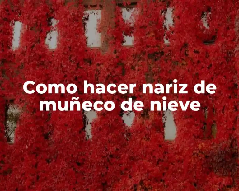 Como hacer nariz de muñeco de nieve