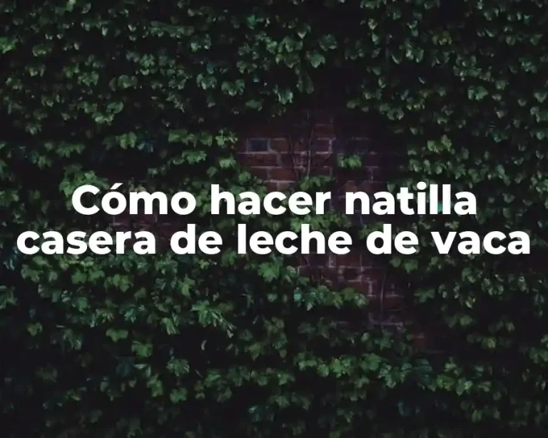 Cómo hacer natilla casera de leche de vaca