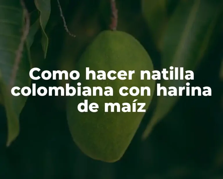 Como hacer natilla colombiana con harina de maíz