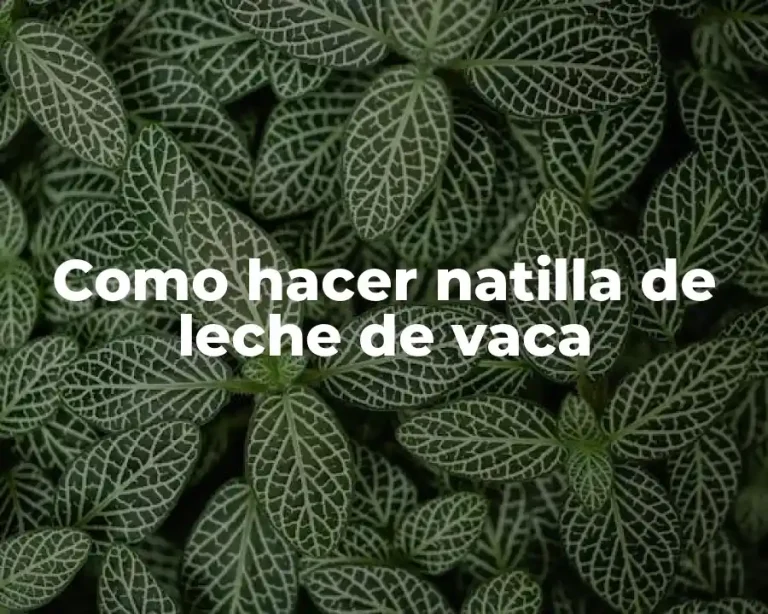Como hacer natilla de leche de vaca