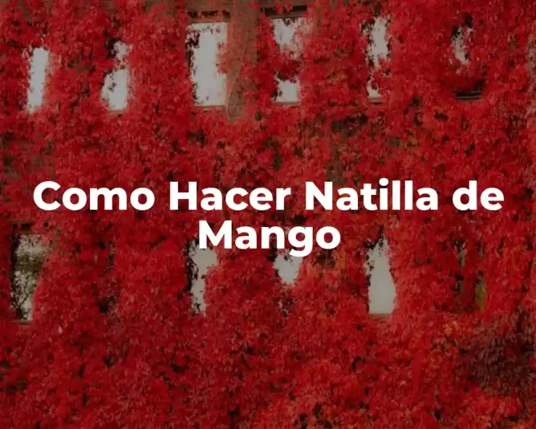 Como Hacer Natilla de Mango